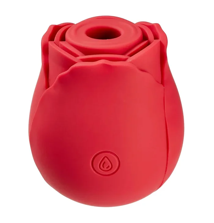Cloud 9 Health and Wellness Rose Suction Stimulator Red