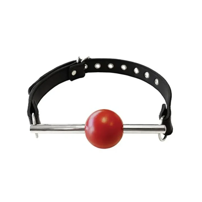 Leather Ball Gag with Stainless Steel Rod and Removable Ball