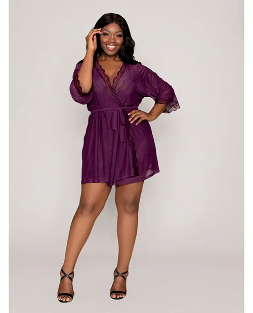 Mesh Chemise & Robe Plum 2X