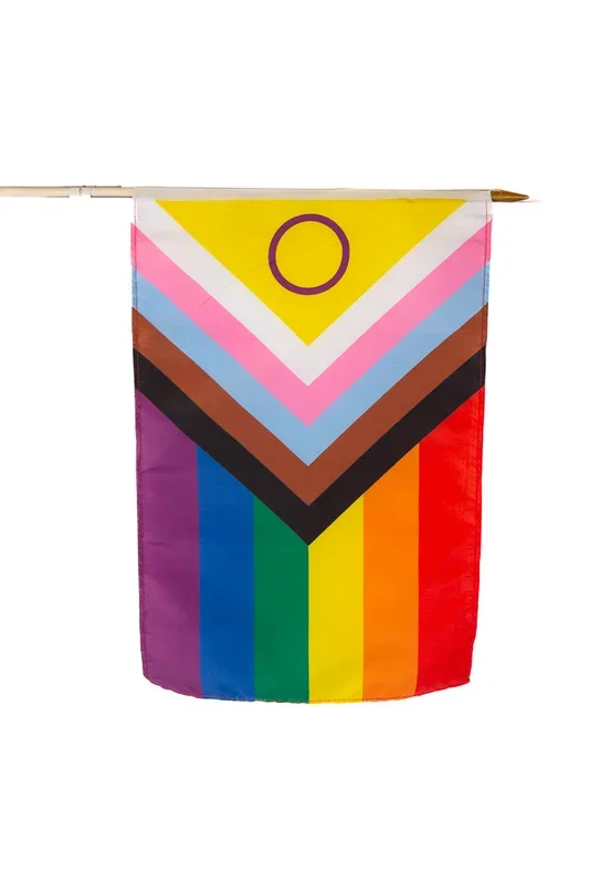 Stag Shop – Intersex Inclusive 12×18 Pride Flag On Stick