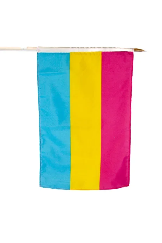 Stag Shop – Pansexual 12×18 Pride Flag On Stick