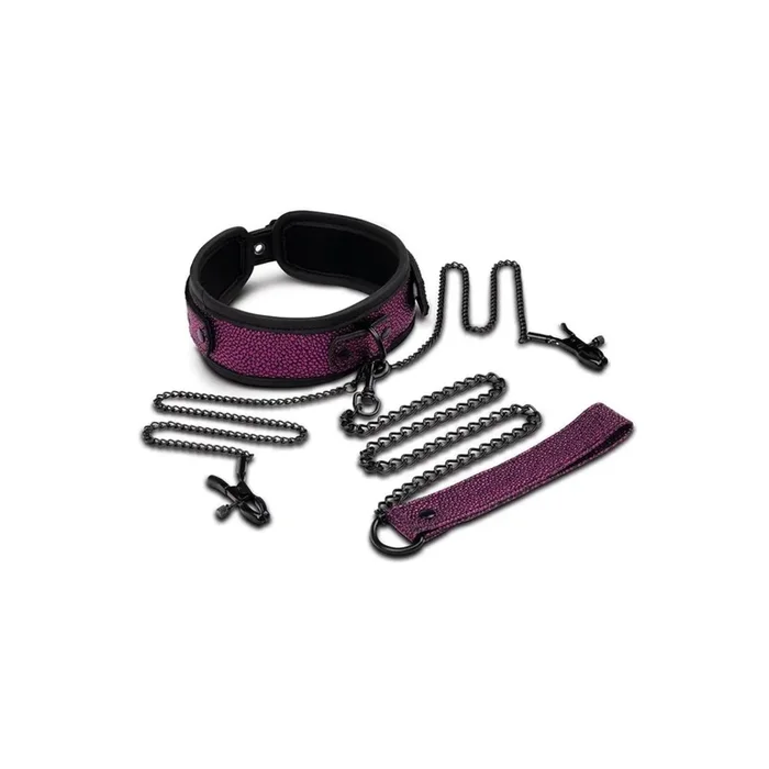 Whipsmart Dragon’s Lair Collar, Leash & Nipple Clips Set Purple Black